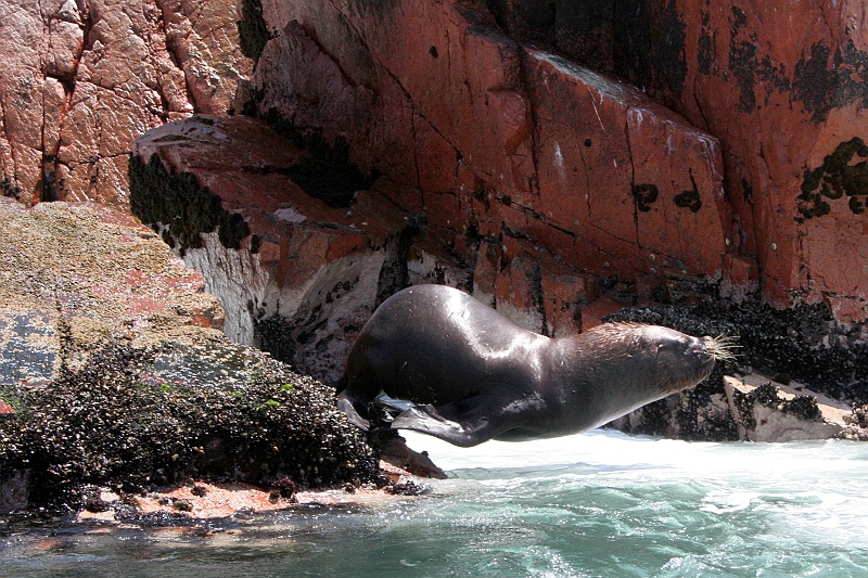 Rafal i Beatka_super.JPG - Popisowicze też tam są. (Zdjęcie: Beatka i Rafał)